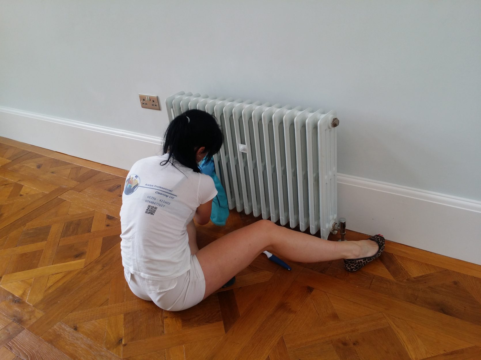 Domestic Cleaning Araliya Professional Cleaning Ltd in