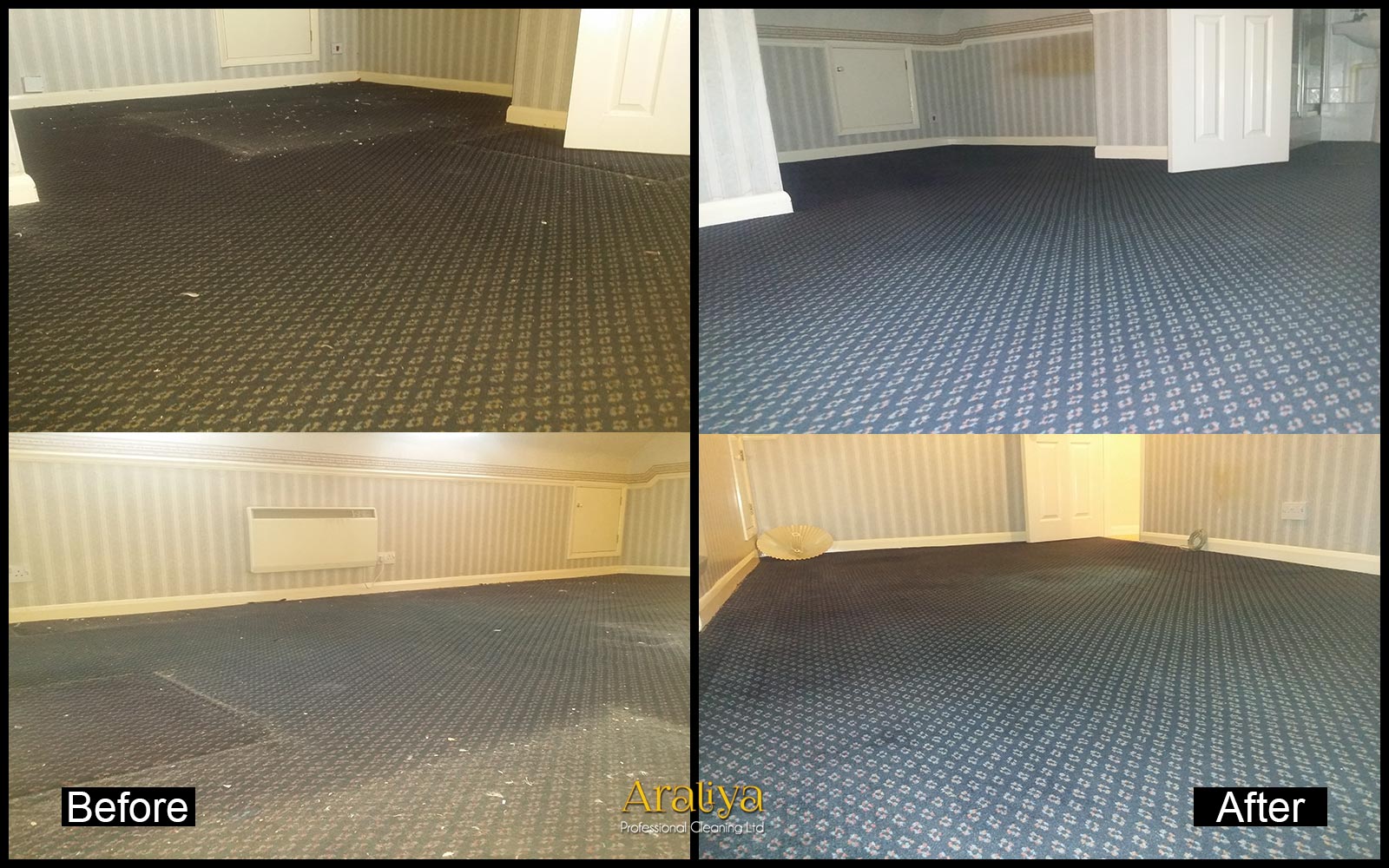 Carpet Cleaning Basingstoke Professional Carpet Cleaners