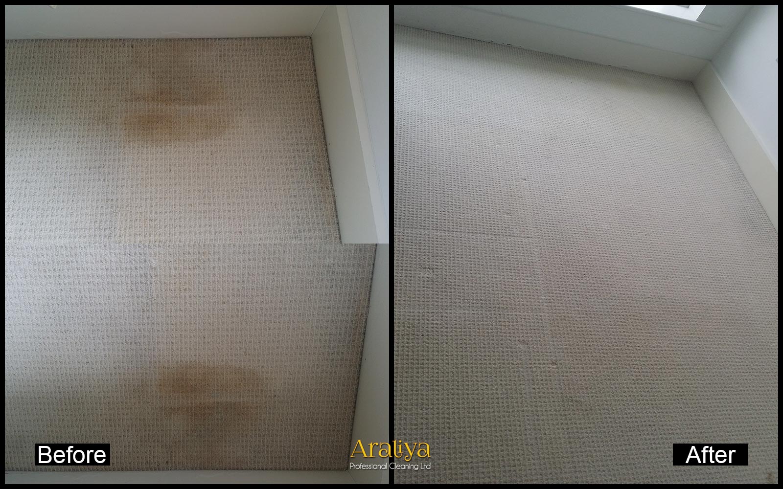 Carpet Cleaning Basingstoke Professional Carpet Cleaners