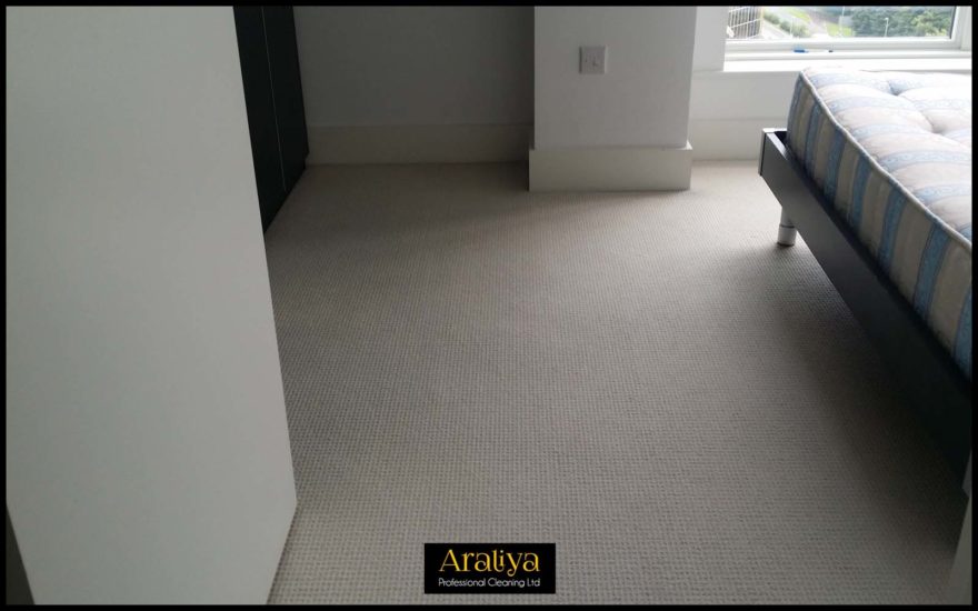 Carpet Cleaning Araliya Professional Cleaning Ltd in