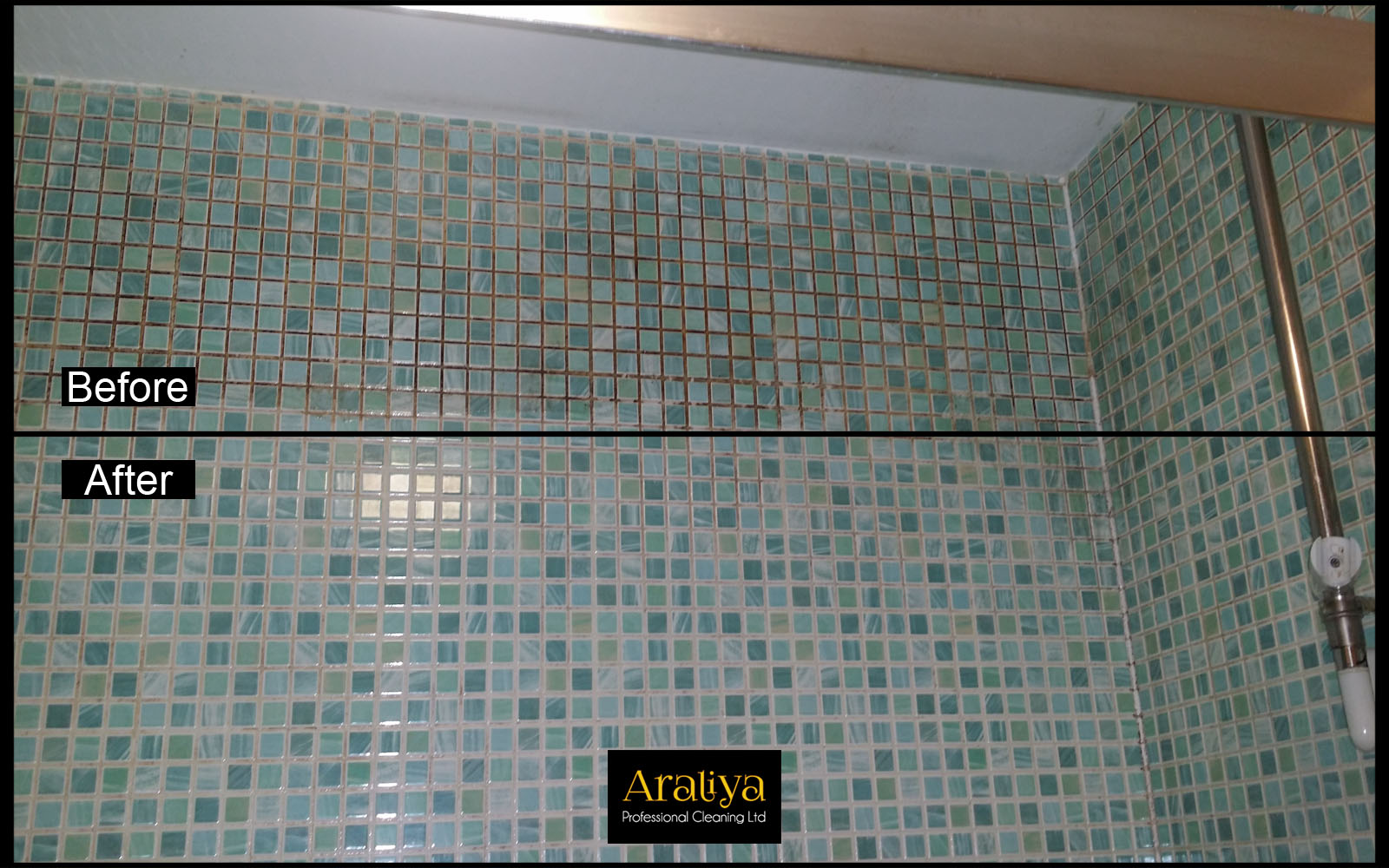 Gallery Araliya Professional Cleaning Ltd in BasingstokeAraliya