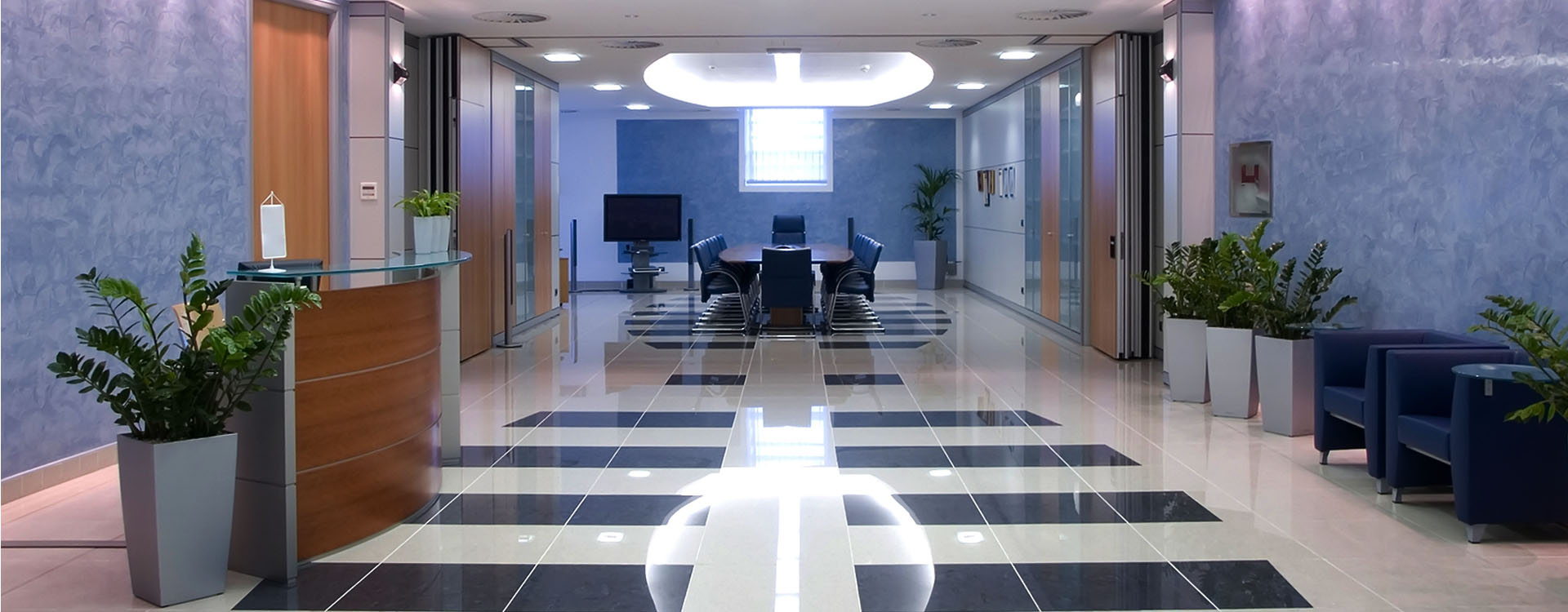 Cleaners Basingstoke Professional Cleaning Services AraliyaAraliya